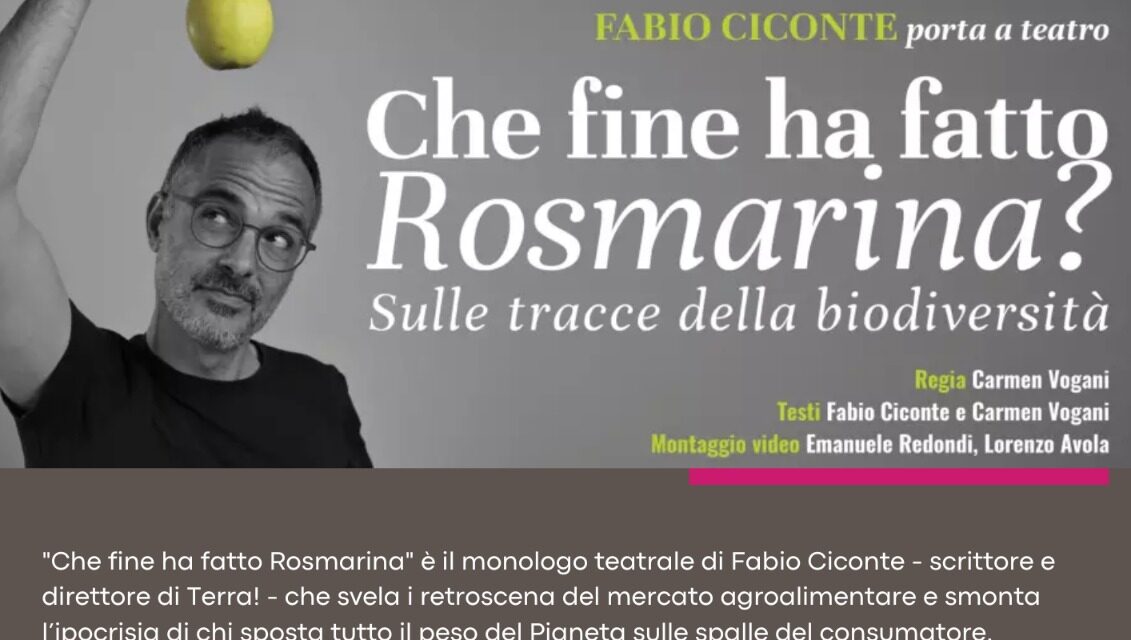 Che fine ha fatto Rosmarina?